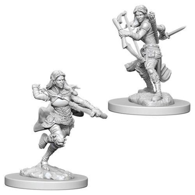 Air Genasi Female Rogue (WIZ3204) Regular